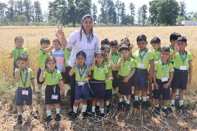 Field Trip to Wheat Farm