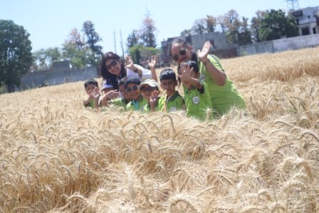 Exploring the Golden Fields: Our Little Farmers’ Baisakhi Adventure